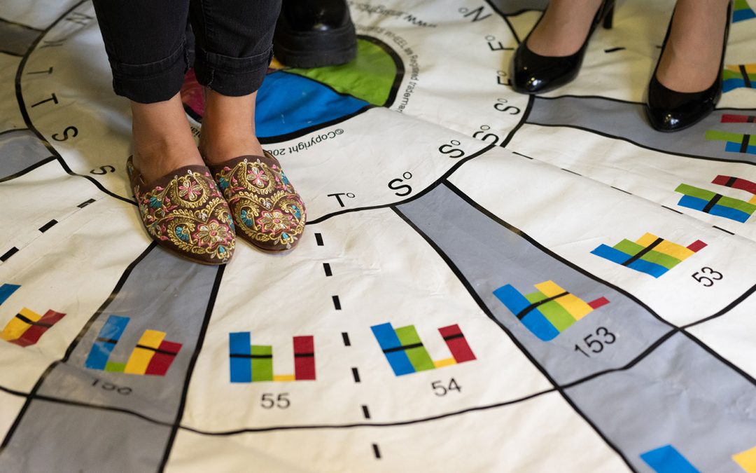 Insights Discovery Leadership Effectiveness